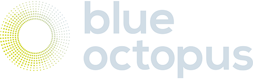 Blue Octopus Recruitment